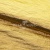 Текстильный материал "Диско"#1805 с покрытием РЕТ, 40гр/м2, 100% полиэстер, цв.5-золото - купить в Рубцовске. Цена 416.57 руб.