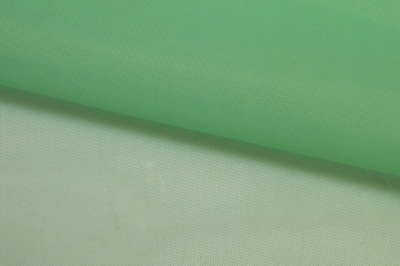 Портьерный капрон 15-6123, 47 гр/м2, шир.300см, цвет св.зелёный - купить в Рубцовске. Цена 137.27 руб.