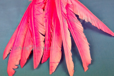 Декоративный Пучок из перьев, перо 25см/розовый - купить в Рубцовске. Цена: 14.40 руб.