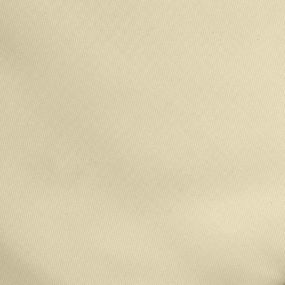 Ткань подкладочная Таффета 14-1014, антист., 53 гр/м2, шир.150см, цвет бежевый - купить в Рубцовске. Цена 62.37 руб.