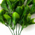 Трава искусственная -1, шт (эвкалипт лист 32 см/8 см)				 - купить в Рубцовске. Цена: 169.93 руб.