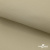 Ткань подкладочная TWILL 230T 14-1108, беж светлый 100% полиэстер,66 г/м2, шир.150 cм - купить в Рубцовске. Цена 90.59 руб.