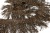 008-коричневый, Бахрома арт.001 шир.10см (упак.12+/-0,5м) - купить в Рубцовске. Цена: 1 017.33 руб.