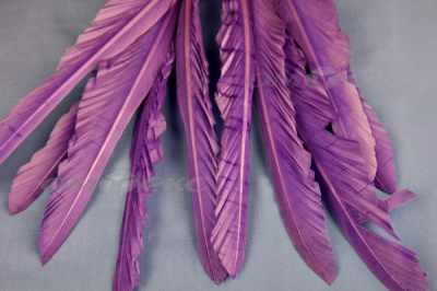 Декоративный Пучок из перьев, перо 25см/фиолетовый - купить в Рубцовске. Цена: 12.19 руб.