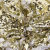 Трикотажное полотно, Сетка с пайетками, шир.130 см, #315, цв.-белый/золото - купить в Рубцовске. Цена 693.39 руб.