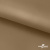 Ткань подкладочная Таффета 17-1327, антист., 54 гр/м2, шир.150см, цвет св.коричневый - купить в Рубцовске. Цена 65.53 руб.