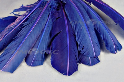 Декоративный Пучок из перьев, перо 23см/синий - купить в Рубцовске. Цена: 12.34 руб.