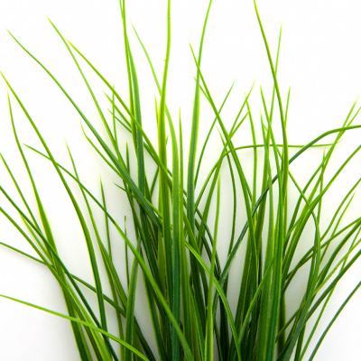 Трава искусственная -3, шт (осока 50 см/8 см  5 листов)				 - купить в Рубцовске. Цена: 124.17 руб.