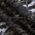 Кружевное полотно XD LACE 1-4, 80 гр/м2, шир.150см, цвет чёрный - купить в Рубцовске. Цена 245.94 руб.